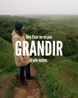 Tu veux que ta marque pousse.
Qu’elle attire. Qu’elle rayonne.

Mais tu la laisses dans l’ombre.
Sans lumière. Sans attention. Sans rythme.

Une fleur, ça pousse parce qu’on l’arrose.
Parce qu’on la nourrit.
Parce qu’on y croit, avant de voir les pétales.

Ta communication, c’est pareil.

Commence à t’occuper de ton image comme tu crois en ton produit.
Le reste suivra. 🌿

 #contentcreation #marketingonline #marketingdigital #contenuinstagram #photographie #rhonealpes #videaste #actionphotography #filmmaker #storytelling #communication #lyon #photographe #rhône